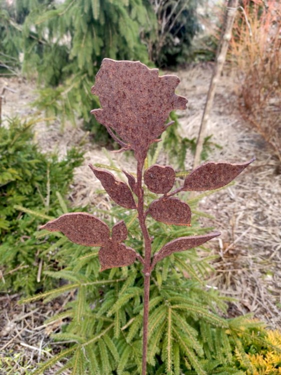 Ozdoba Ogrodowa Rdzą Malowana - Róża