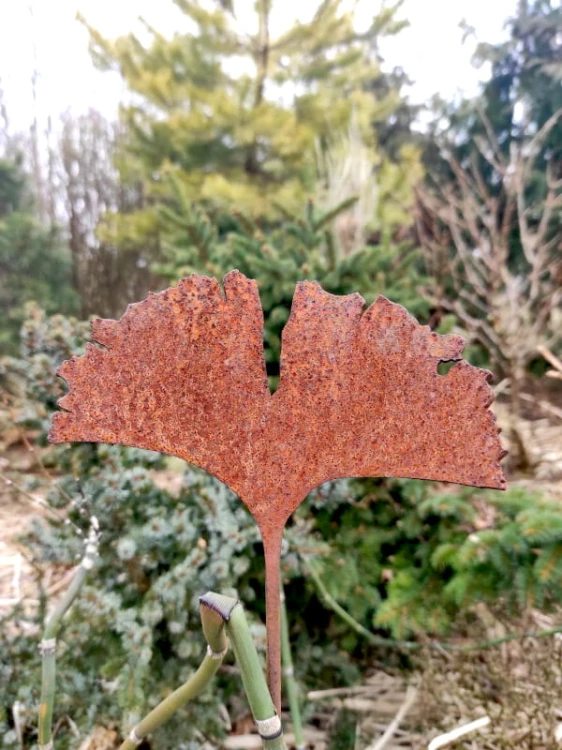 Ozdoba Ogrodowa Rdzą Malowana - Miłorząb