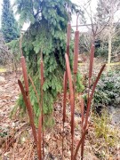 Ozdoba Ogrodowa Rdzą Malowana - Pałka wodna