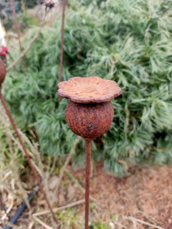 Ozdoba Ogrodowa Rdzą Malowana - Makówka