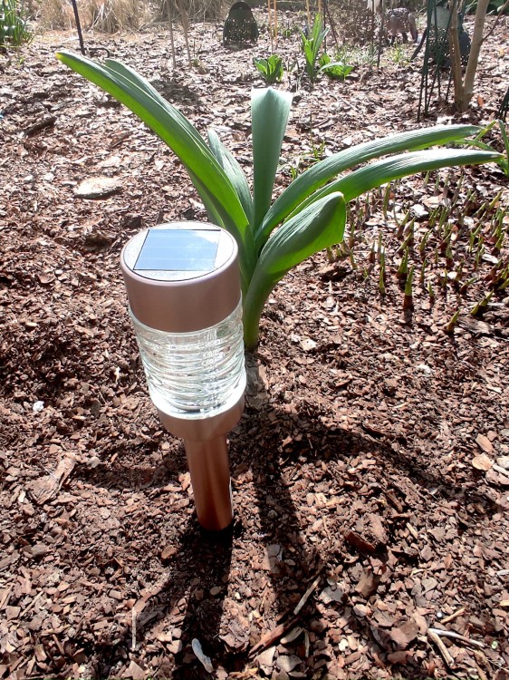 Słupek Solarny LED - Martini - 1001046