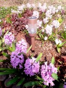 Słupek Solarny LED - Martini - 1001046