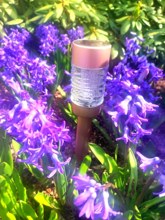 Słupek Solarny LED - Martini - 1001046