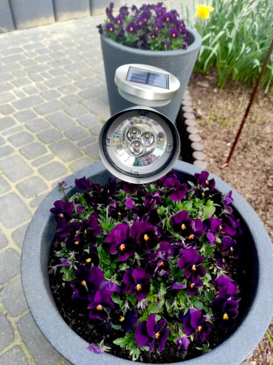 Reflektor Solarny LED - 1004010