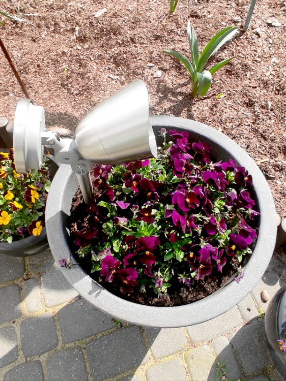 Reflektor Solarny LED - 1004010