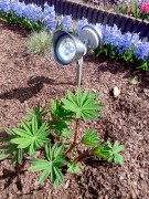 Reflektor Solarny LED - 1004010