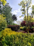 Rzeźba Kinetyczna Solstice