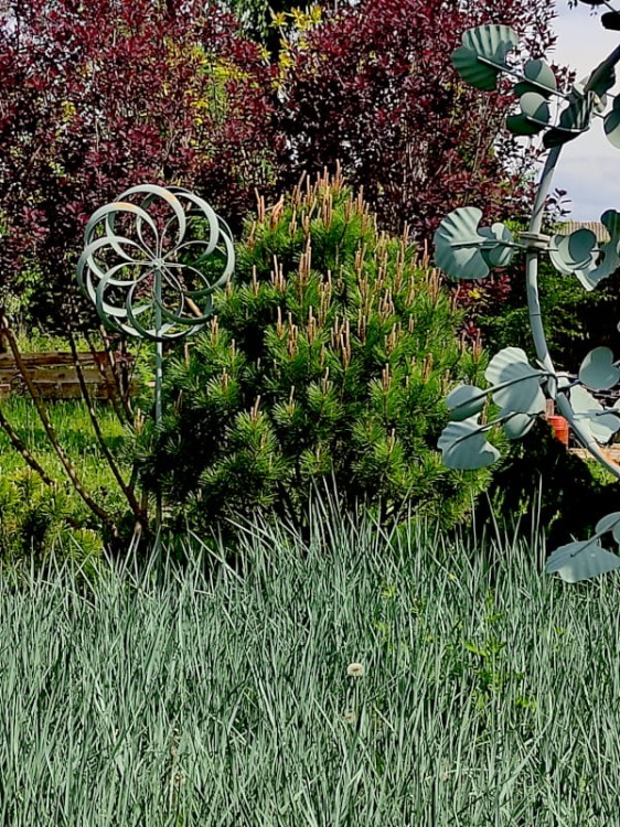 Rzeźba Kinetyczna Grantchester