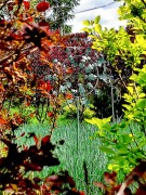 Rzeźba Kinetyczna Frogmore