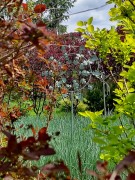 Ruchoma Ozdoba Ogrodowa Frogmore