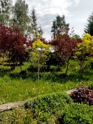 Rzeźba Kinetyczna Galaxy