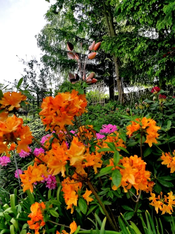 Rzeźba Kinetyczna, Ruchoma Ozdoba Ogrodowa