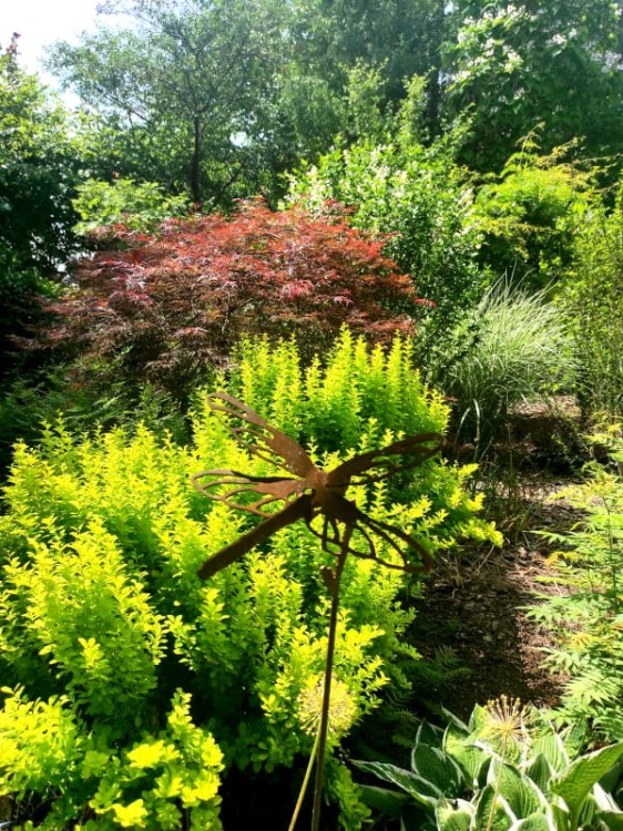 Ozdoba Ogrodowa Rdzą Malowana - Ważka ażurowa