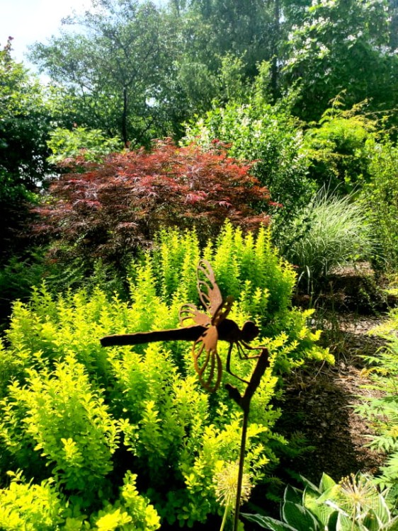 Ozdoba Ogrodowa Rdzą Malowana - Ważka ażurowa