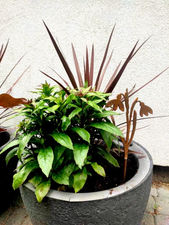 Ozdoba Ogrodowa Rdzą Malowane - Przebiśnieg