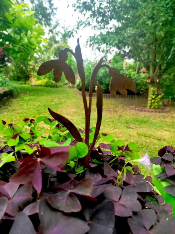 Ozdoba Ogrodowa Rdzą Malowane - Przebiśnieg