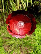 Kwiat Solarny - Czerwony Mak, Ozdoba Ogrodowa, Lampa Solarna