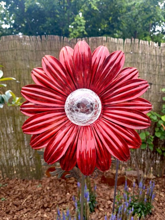 Kwiat Solarny - Czerwona Stokrotka, Ozdoba Ogrodowa, Lampa Solarna
