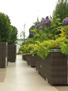 Donica Technorattanowa 150x39x50