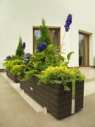 Donica Technorattanowa 150x39x50