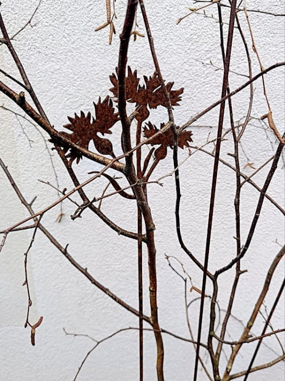 Ozdoba Ogrodowa Rdzą Malowana - Chaber gałązka