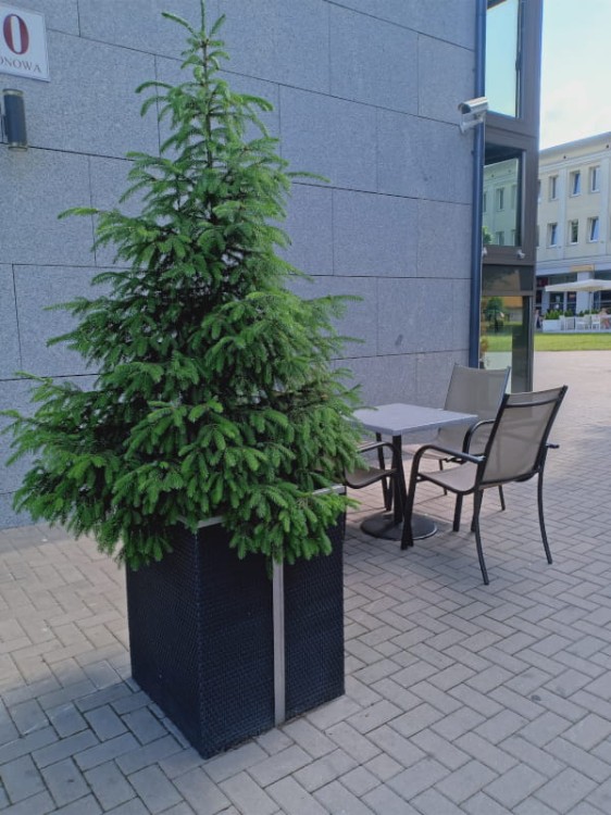 Donica Technorattanowa 35x35x60