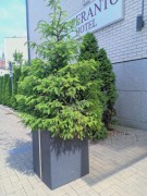 Donica Technorattanowa Wysoka 35x35x60