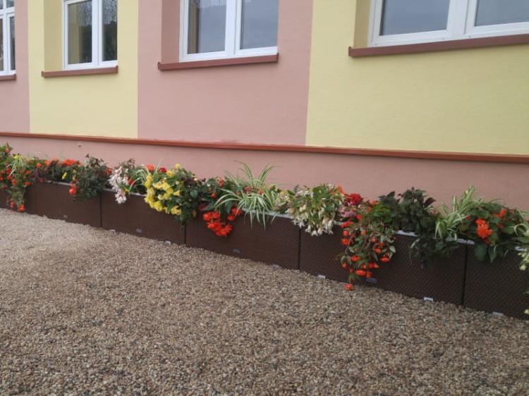 Donica Technorattanowa z Systemem Nawadniającym 125x39x43 - przykład aranżacji