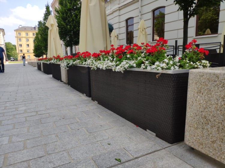 Donica Technorattanowa z Systemem Nawadniającym 125x39x43 - przykład aranżacji