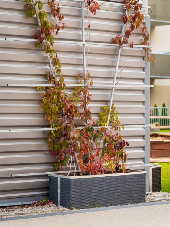 Donica Technorattanowa z Systemem Nawadniającym 125x39x43