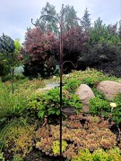 Karmnik dla Ptaków - Stelaż na karmniki