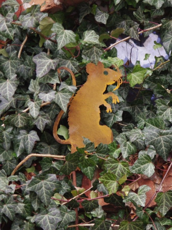 Ozdoba Ogrodowa Rdzą Malowana - Szczurek