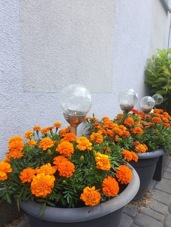 Lampa Solarna LED kula - L21008