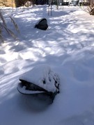 Ozdoba Ogrodowa - Żaba Solarna - 1050113