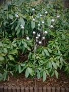 Rzeźba Ogrodowa - Bukiet Planet - OW2748