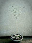 Rzeźba Ogrodowa - Bukiet Planet - OW2748