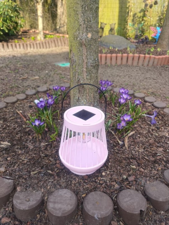 Ogrodowy Lampion Solarny - Viva - 1080205