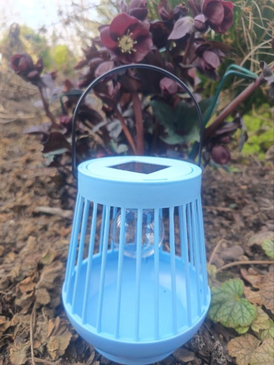 Ogrodowy Lampion Solarny - Viva - 1080205