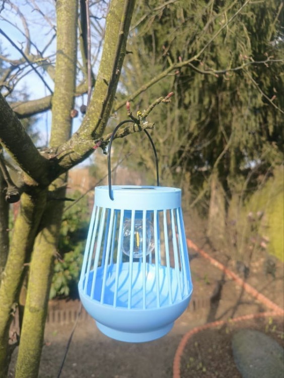 Ogrodowy Lampion Solarny - Viva - 1080205