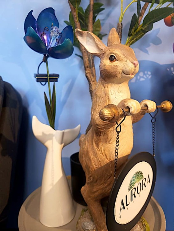 Kwiat Solarny - Anemon - 1012552 - niebieski