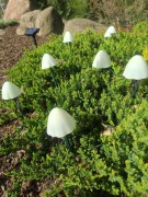 Solarna Ozdoba Ogrodowa - Polana Magicznych Grzybków