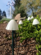 Solarna Ozdoba Ogrodowa - Polana Magicznych Grzybków - 1012064