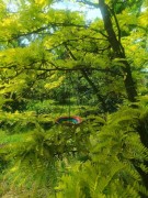 Poidło dla Ptaków Wiszące - Tęczowe - 7501017 - szklane