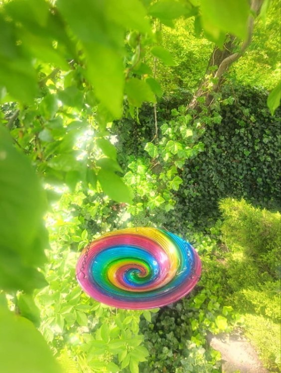 Poidło dla Ptaków Wiszące - Tęczowe - 7501017 - szklane