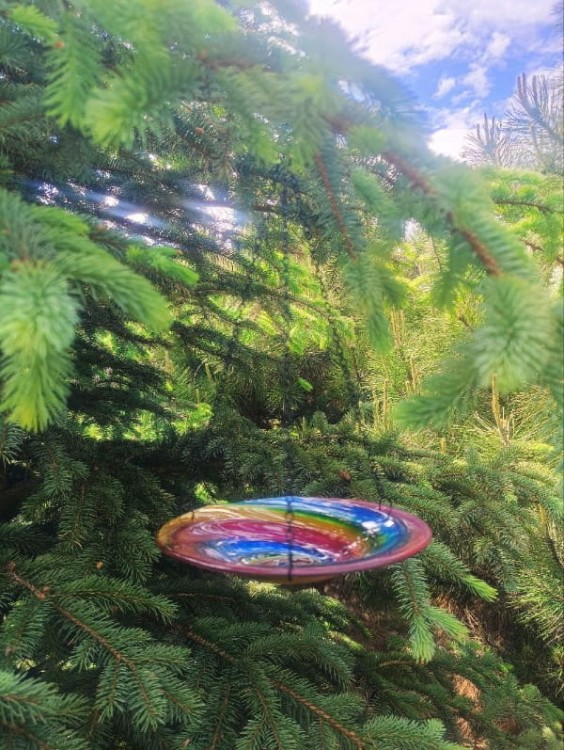 Poidło dla Ptaków Wiszące - Tęczowe - 7501017 - szklane