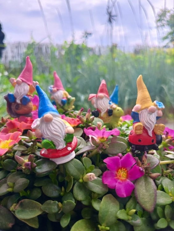 Skrzat na Piku - Ozdoba Doniczkowa