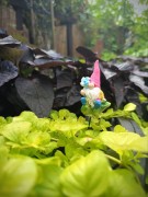 Skrzat na Piku - Ozdoba Doniczkowa - Skrzat na Żabce