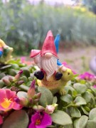 Skrzat na Piku - Ozdoba Doniczkowa - Skrzat na Żółwiku