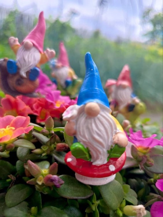 Skrzat na Piku - Ozdoba Doniczkowa - Skrzat na Muchomorku