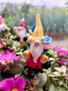 Skrzat na Piku - Ozdoba Doniczkowa - Skrzat na Biedronce